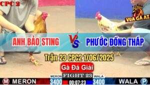 Trận 23 CPC2 1/6/2025 - Anh Bảo Sting Được 6 Điểm Sau 2 Vòng Đấu