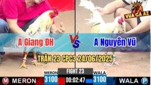 Trận 23 CPC3 24/06/2025 - Anh Giang Đức Hoà Vs Anh Nguyên Vũ