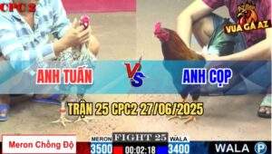Trận 25 CPC2 27/06/2025 - Gà Anh Tuấn Phản Chân Chí Mạng Hạ Đối Thủ