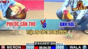 Trận 26 CPC1 7/6/2025 - Anh Phước Cần Thơ Và Anh Hải