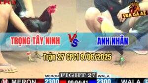 Trận 27 CPC1 9/6/2025 - Chuối Cọp Anh Nhân Hạ Gà Điều Sau 1 Tay Nước