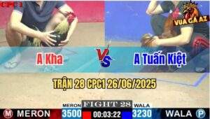 Trận 28 CPC1 26/06/2025 - Gà Khét Anh Tuấn Kiệt Có Chân Xạo Lờ