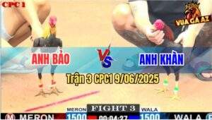Trận 3 CPC1 9/6/2025 - Chuối Anh Bảo Chuyên Đá Đầu Cần Hạ Que Gọn Lẹ