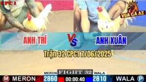 Trận 32 CPC1 7/6/2025 - Bướm Anh Xuân Đâm Bướm Anh Trí Nằm Bại Liệt