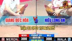 Trận 33 CPC3 11/6/2025 - Anh Giang Đức Hòa Gặp Anh Hiếu Long An