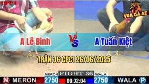 Trận 36 CPC1 26/06/2025 - Gà Anh Lê Bình Đá Quá Khôn Khéo