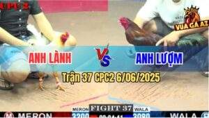 Trận 37 CPC2 6/6/2025 - Anh Lành Vũng Tàu Và Anh Lượm