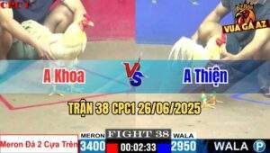 Trận 38 CPC1 26/06/2025 - Gà Anh Khoa Chấp Gà Anh Thiện Đá 2 Cây Trên