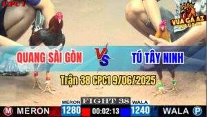 Trận 38 CPC1 9/6/2025 - Anh Quang Sài Gòn Và Anh Tú Tây Ninh