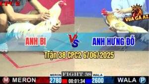Trận 38 CPC2 6/6/2025 - Bướm Camelo Anh Hưng Đổ Đâm Cựa Quá Tịch