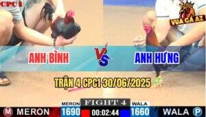 Trận 4 CPC1 30/06/2025 - Gà Anh Bình Hạ Đẹp Đối Thủ Ngông Cuồng Dí Bạc