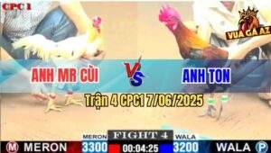 Trận 4 CPC1 7/6/2025 - Anh Ton Hạ Anh Mr Cui Trong 1 Nốt Nhạc