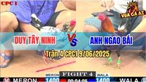 Trận 4 CPC1 9/6/2025 - Anh Duy Tây Ninh Và Anh Ngao Bái