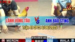 Trận 41 CPC2 6/6/2025 - Anh Bảo Sting Lái Đò Đưa Anh Em Ra Đảo