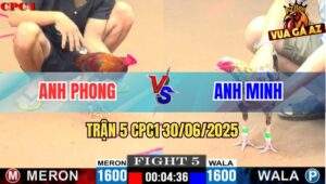 Trận 5 CPC1 30/06/2025 - Gà Cú Má Minh Đâm Gà Điều Tang Nặng Bỏ Chạy