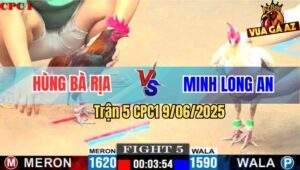 Trận 5 CPC1 9/6/2025 - Bướm Camelo Má Minh Đá Quá Đâm