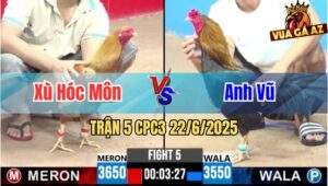 Trận 5 CPC3 22/6/2025 - Gà Anh Xù Hóc Môn Siết Nhanh Thắng Gọn