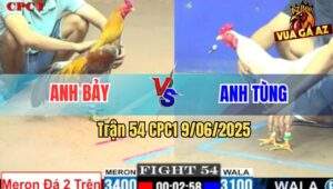 Trận 54 CPC1 9/6/2025 - Gà Xám Anh Bảy Có Chân Mai Độ Cứu Chủ