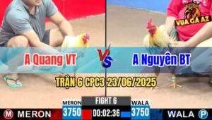 Trận 6 CPC3 23/06/2025 - Anh Quang Vũng Tàu Và Anh Nguyên Bến Tre