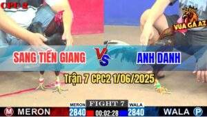 Trận 7 CPC2 1/6/2025 - Gà Anh Danh Xấu Xấu Mà Đâm Như Đầu Gấu