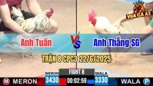 Trận 8 CPC3 22/6/2025 - Gà Anh Khánh Sài Gòn Đá Đòn Quá Hiểm