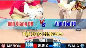 Trận 8 CPC3 29/06/2025 - Giang Đức Hoà Vs Ton Tiền Giang, Xổ 100 Triệu
