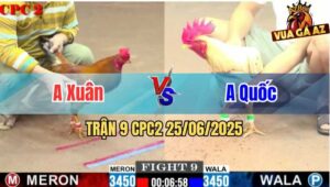Trận 9 CPC2 25/06/2025 - Gà Anh Xuân Có Pha Lội Ngược Dòng Ngoạn Mục