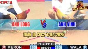 Trận 10 CPC2 4/7/2025 - Điều Cọp Anh Long Mất Sóng Chỉ Sau 1 Tay Nước