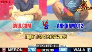 Trận 11 CPC1 3/7/2025 - Úa Cọp GVUI.COM Đá Điều Còn Ăn 1 Vẫn Bị Phản