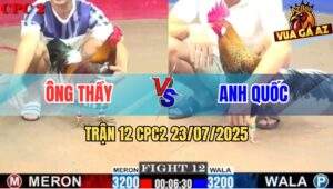 Trận 12 CPC2 23/7/2025 - Vàng Tàu Ông Thầy Quá Trâu Cú Đâm Không Thấm
