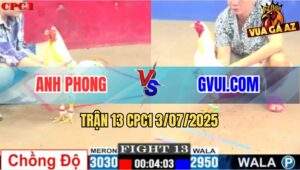 Trận 13 CPC1 3/7/2025 - GVUI.COM Té Nguyên 1 Cặp Với Gà Bướm Anh Phong