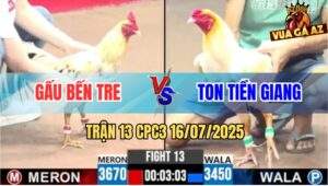Trận 13 CPC3 16/7/2025 - Anh Gầu Bến Tre Và Anh Ton Tiền Giang