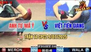 Trận 14 CPC2 9/7/2025 - Điều Anh Việt Hạ Gà Anh Tư Mã Ý Chỉ 1 Tay Nước
