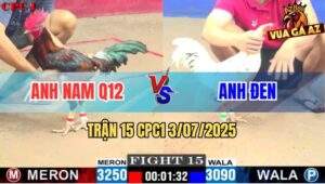 Trận 15 CPC1 3/7/2025 - Gà Bướm Anh Đen Đâm Bại Liệt Điều Anh Nam