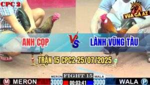Trận 15 CPC2 25/7/2025 - Chuối Đen Anh Cọp Đâm Gà Anh Lành Gãy Cổ