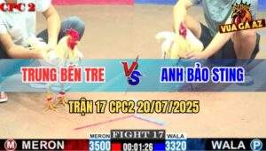 Trận 17 CPC2 20/7/2025 - Bướm Hiệu Bảo Sting Đá Gà Anh Trung Tai Biến