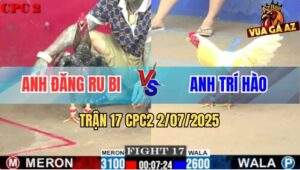 Trận 17 CPC2 2/7/2025 - Úa Kém 5 Chấm Đá Gà Cú Anh Đăng Black Gãy Giò