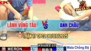 Trận 17 CPC2 30/7/2025 - Bướm Anh Châu Lên Lớp, Đá Gà Cú Chạy Mất Dép