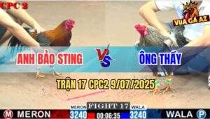 Trận 17 CPC2 9/7/2025 - Điều Cọp Anh Bảo Sting Quá Nhanh Quá Nguy Hiểm