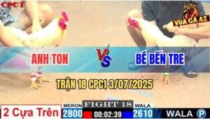 Trận 18 CPC1 3/7/2025 - Gà Bướm Anh Ton Chưa Kịp Nhấc Chân Đã Ngã Ngửa