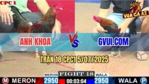 Trận 18 CPC1 5/7/2025 - Điều Cọp GVUI.COM 1 Cước Phân Định Thắng Thua