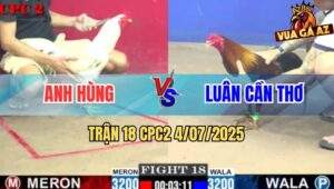 Trận 18 CPC2 4/7/2025 - Anh Hùng Hạ Anh Luân Cần Thơ Trong 1 Nốt Nhạc