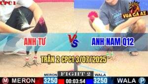Trận 2 CPC1 3/7/2025 - Điều Xanh Anh Tư Đâm Úa Anh Nam Quéo Giò
