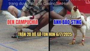 Trận 20 Bồ Ton Hon 6/7/2025 - Anh Bảo Sting Đụng Anh Đen Campuchia