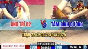 Trận 22 CPC2 23/7/2025 - Úa Đá Trên Dưới 1 Đá Khét Anh Tám Chạy Bay Bồ