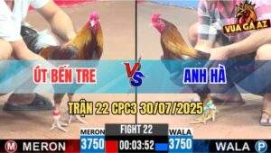 Trận 22 CPC3 30/7/2025 - Anh Út Bến Tre Đụng Độ Anh Hà