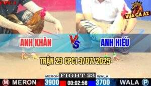 Trận 23 CPC1 3/7/2025 - Gà Bướm Anh Hiếu Đâm Cựa Như Máy Chém