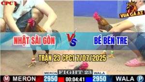 Trận 23 CPC1 7/7/2025 - Điều Cọp Anh Bé Bến Tre Đâm Gà Khét Tai Biên