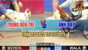 Trận 25 CPC2 11/7/2025 - Bướm Anh Trung Đâm Gà Khét Lên Bờ Xuống Ruộng