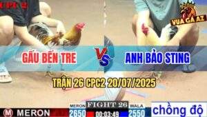 Trận 26 CPC2 20/7/2025 - Úa Hiệu Bảo Sting Lên 2 Bị Đá Lật Xe